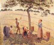 Camille Pissarro Apple picking at Eragny-sur-Epte oil painting reproduction